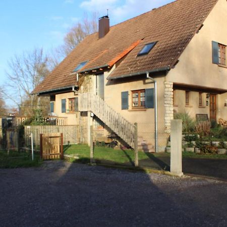 Gites Riviere Et Colline Niedermodern Exteriör bild