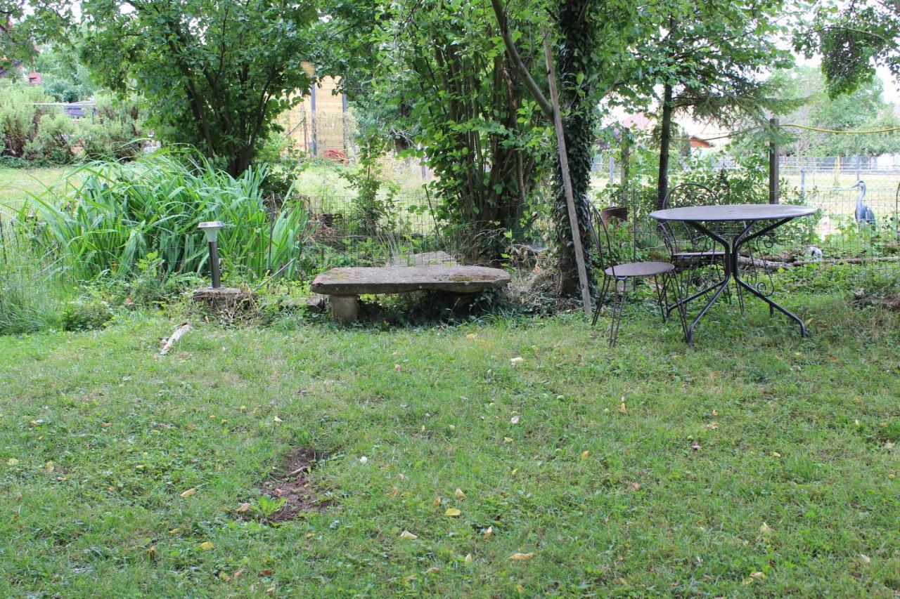 Gites Riviere Et Colline Niedermodern Exteriör bild