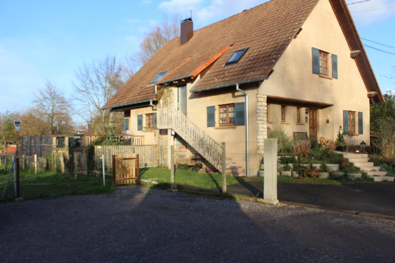 Gites Riviere Et Colline Niedermodern Exteriör bild
